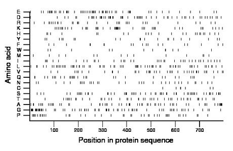 amino acid map