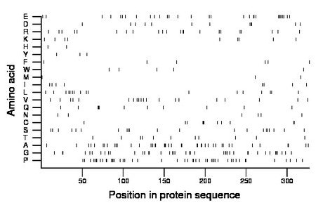 amino acid map