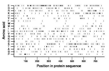 amino acid map