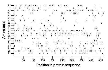 amino acid map