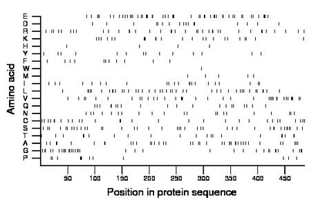 amino acid map