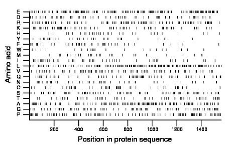 amino acid map