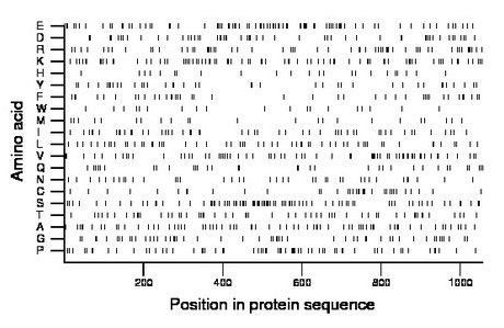 amino acid map