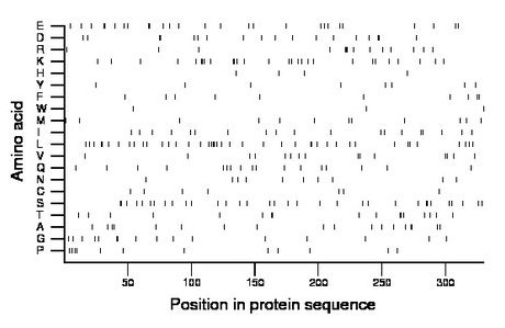 amino acid map