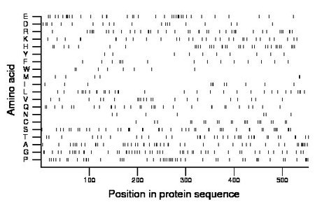 amino acid map