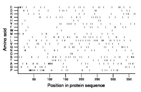 amino acid map