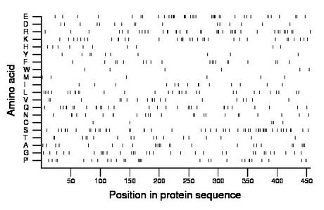 amino acid map