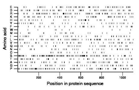 amino acid map