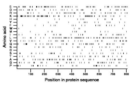 amino acid map