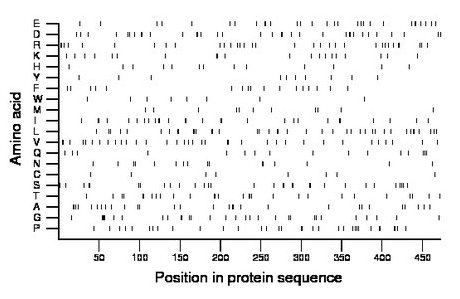 amino acid map