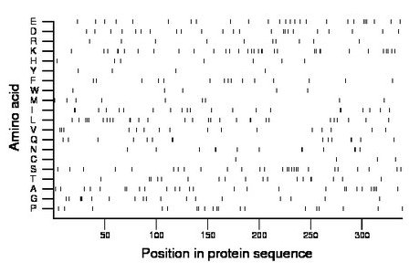 amino acid map