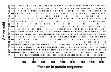 amino acid map