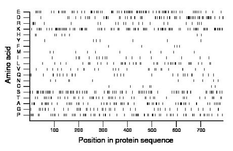 amino acid map