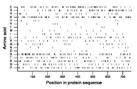 amino acid map