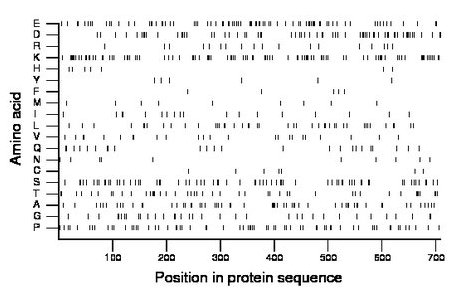 amino acid map