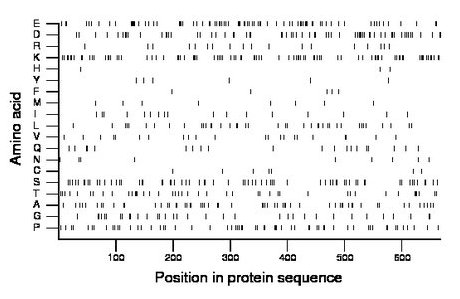 amino acid map