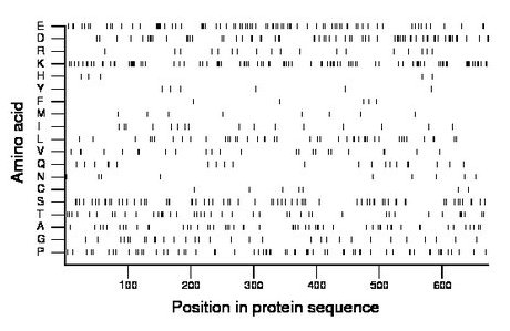 amino acid map