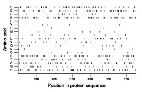 amino acid map