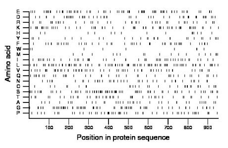 amino acid map