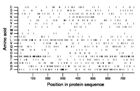 amino acid map