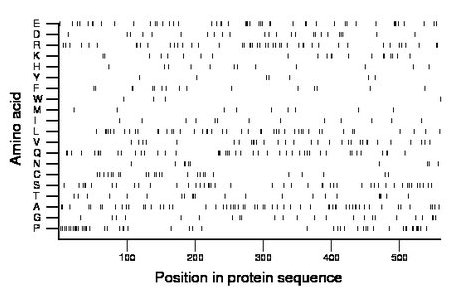 amino acid map