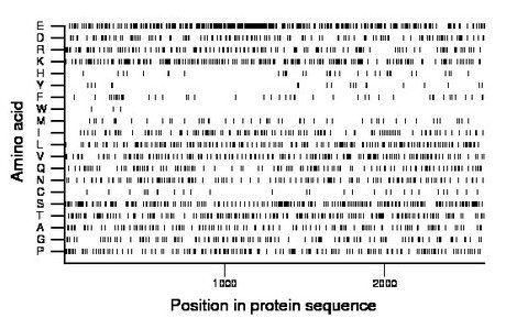 amino acid map