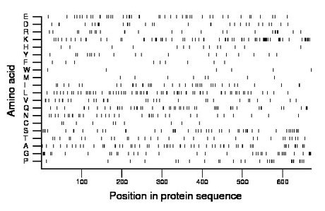 amino acid map