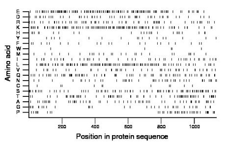 amino acid map