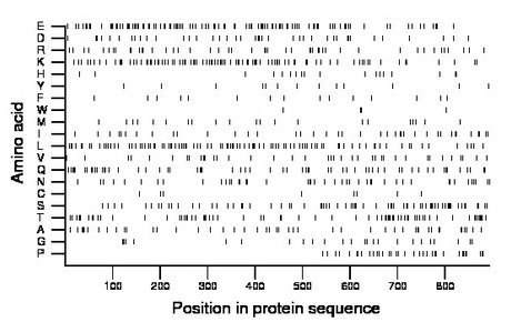 amino acid map