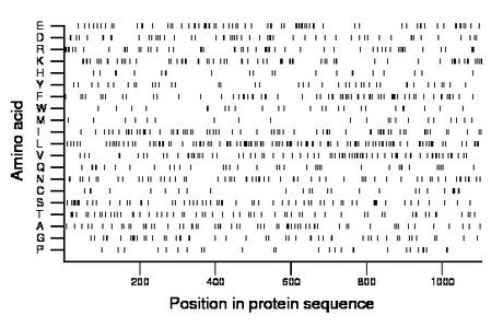 amino acid map