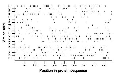 amino acid map