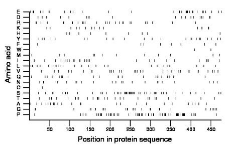 amino acid map