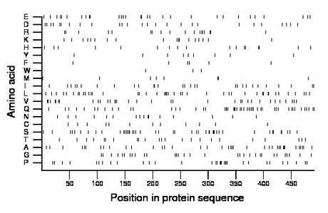 amino acid map