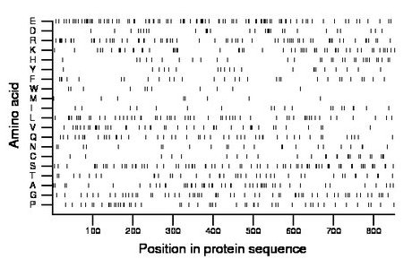 amino acid map