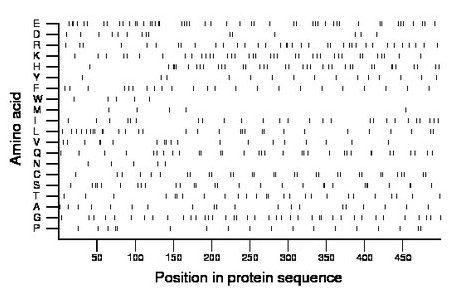 amino acid map