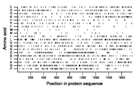 amino acid map