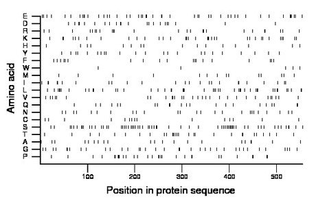 amino acid map