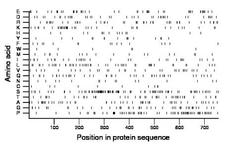 amino acid map