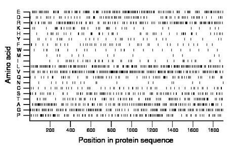 amino acid map