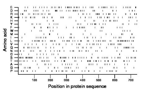 amino acid map