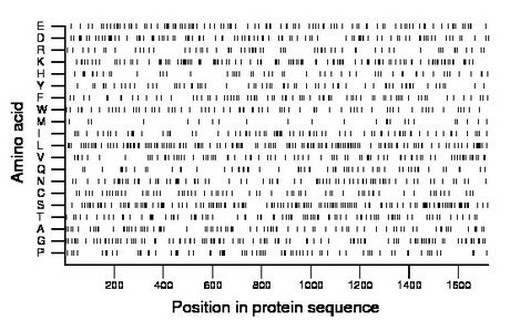 amino acid map