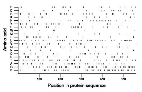 amino acid map