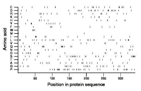 amino acid map