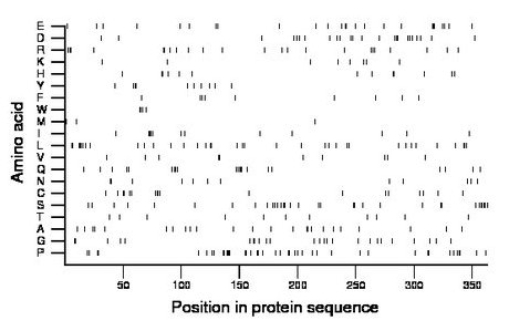 amino acid map