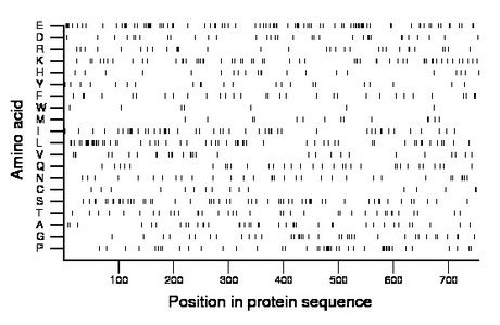 amino acid map