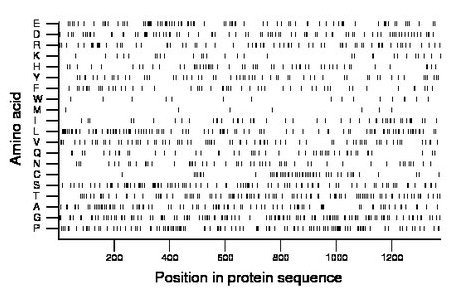 amino acid map