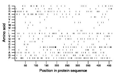 amino acid map