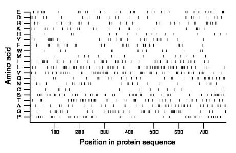 amino acid map