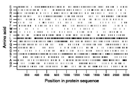 amino acid map