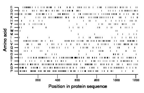 amino acid map